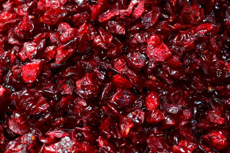Cranberry trocknen lagern Inhaltsstoffe