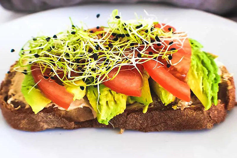 Avocado Brot zubereiten