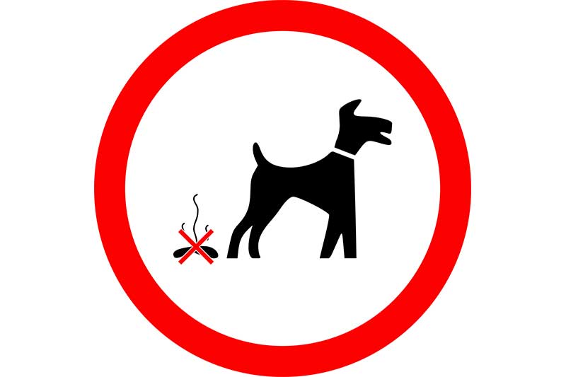 Hundekot Fehlgeburten Kühen