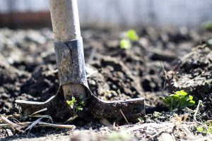 Gartenarbeit ist gesund