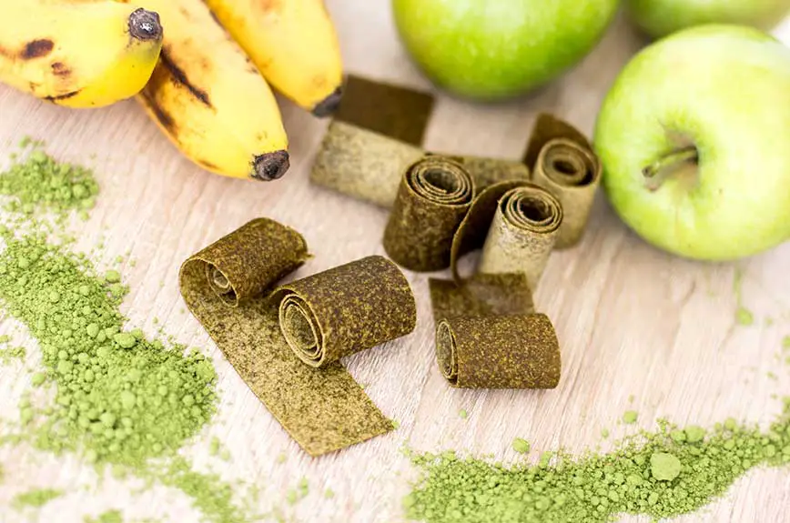 Fruchtleder Apfel Matcha Rezept