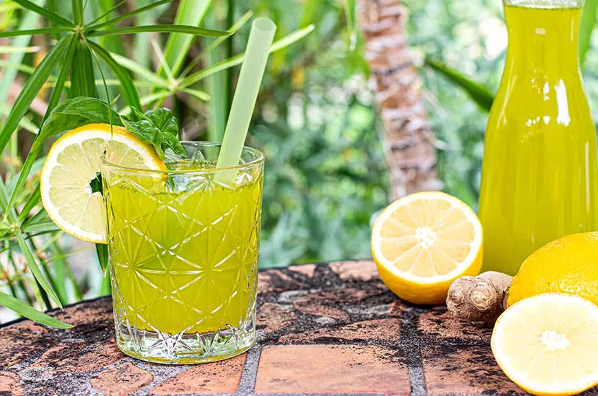 Kurkuma Limonade Rezept