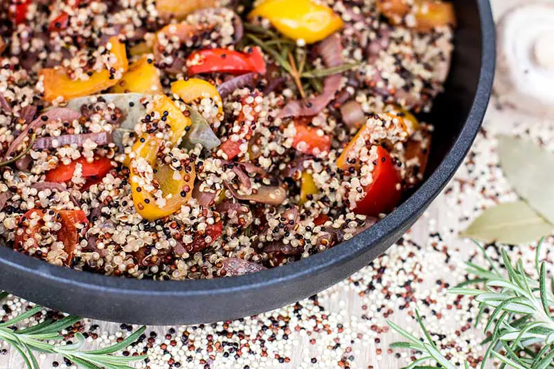 Paprika Quinoa Pfannengericht Rezept