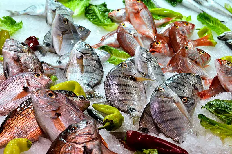Mindesthaltbarkeitsdatum Fisch Fleisch