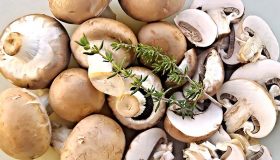 Champignons einfrieren