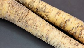 Meerrettich haltbar machen und richtig lagern