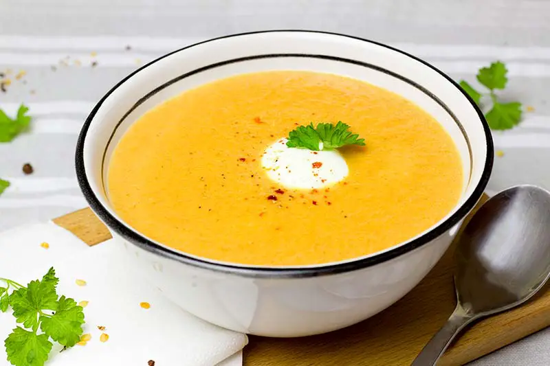 Suppe einfrieren – So bleibt der Geschmack perfekt - WirEssenGesund