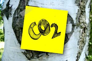 Petition für eine CO2-Kennzeichnung von Lebensmittel sammelt 57.000 Stimmen