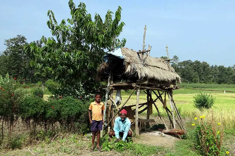 Mit Cash-Crops in den Ruin