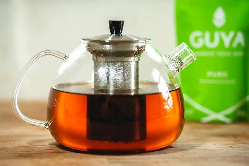 Guayusa basische Kaffee-Alternative