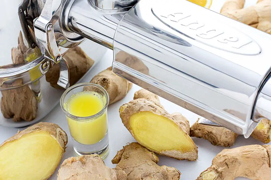 Ingwer Shot selber machen - Leckere Rezept-Variationen - Vegane Rezepte