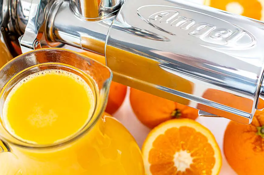 Orangensaft selber machen - Alle Möglichkeiten auf einen Blick - Vegane ...