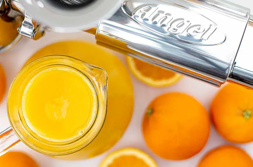 Orangensaft Entsafter selber machen