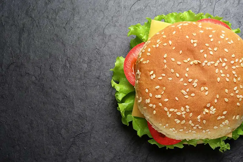 KFC verkauft eine Million vegane Burger im ersten Monat