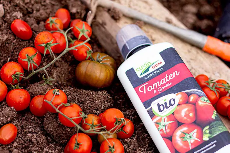 Tomaten & Gemüse – Wir haben den Bio-Flüssigdünger von CUXIN DCM getestet!
