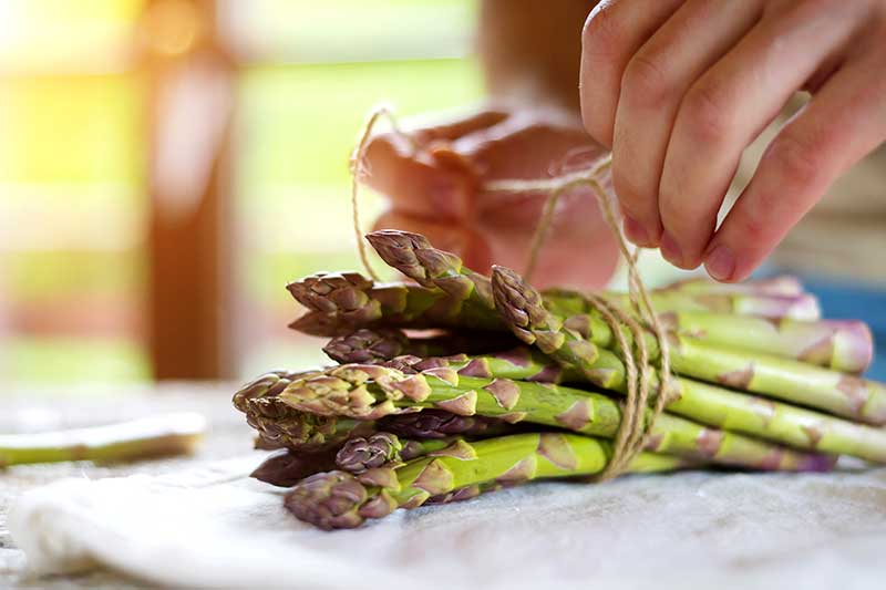 Grünen Spargel roh essen