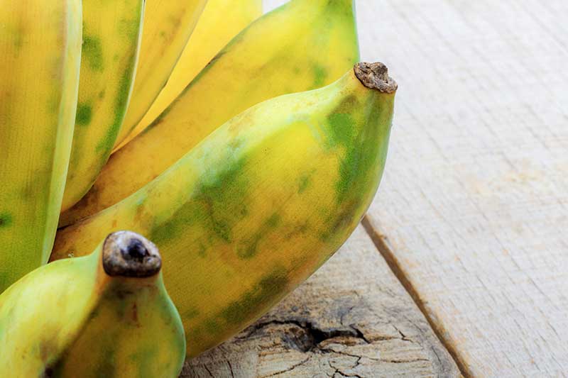 Banane