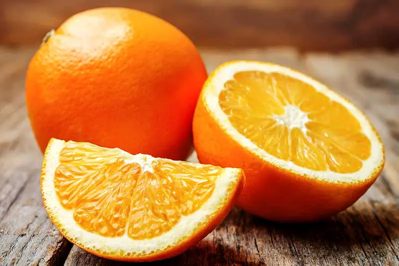 Orangen