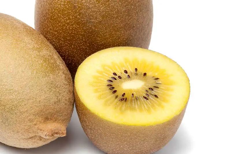 gelbe Kiwi