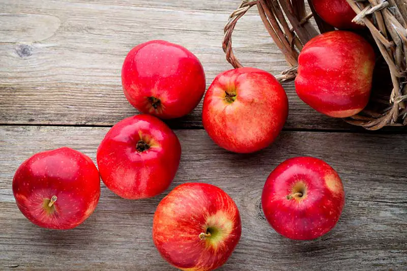 Wie gesund sind Äpfel wirklich