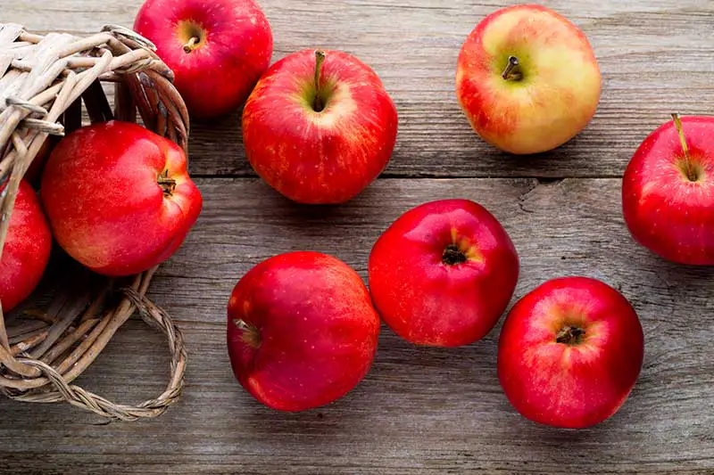 Apfel gesund rot