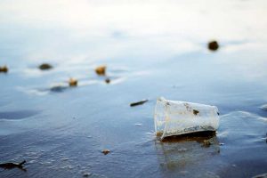 Warum die Umwelt gegen Plastik machtlos ist