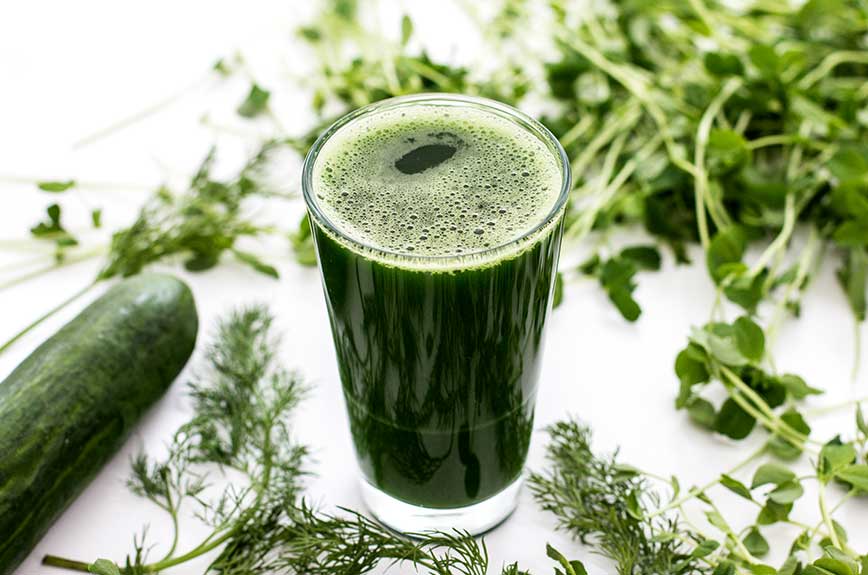 Gurkensaft mit Erbsensprossengrün und Dill