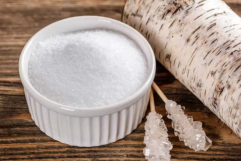 Stevia oder Xylit – Welche Zuckeralternative ist gesünder? - WirEssenGesund
