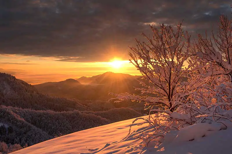 Gründe für den Winterblues