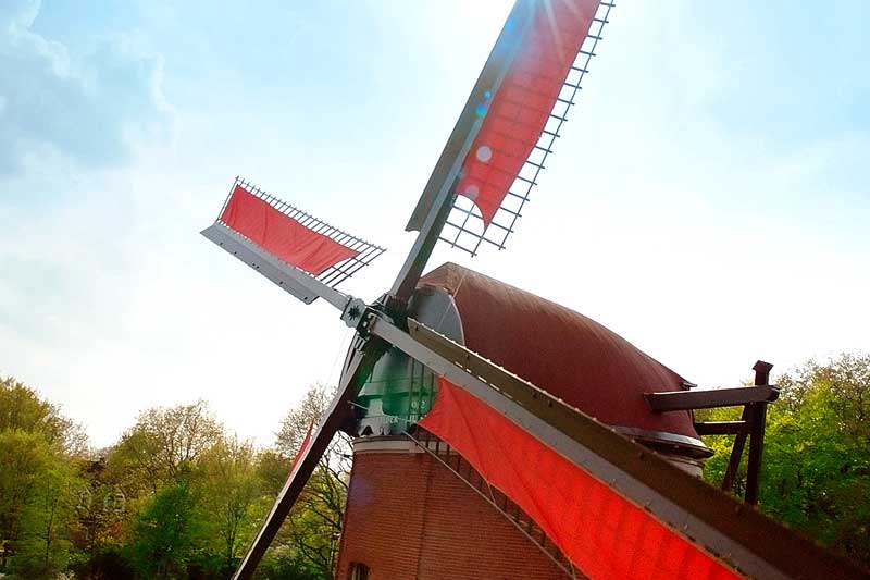 Darum will Rügenwalder Mühle vegane Rohstoffe anbauen
