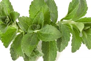 Stevia zum Abnehmen