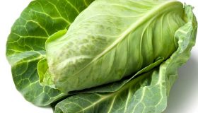 Spitzkohl einfrieren
