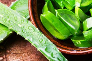 Schön und gesund durch Aloe Vera