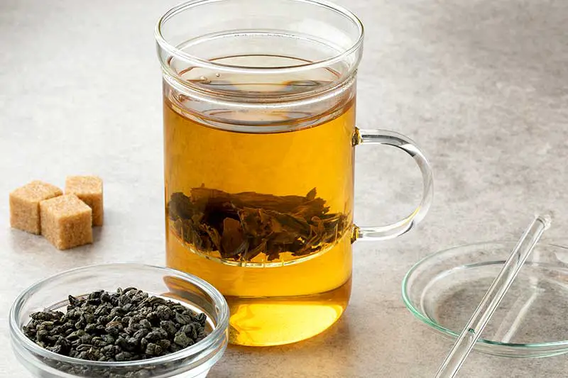 Tee gunpowder - Die hochwertigsten Tee gunpowder auf einen Blick