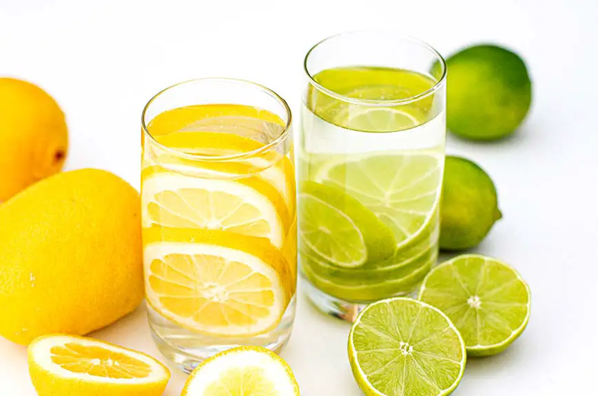 Zitronenwasser Limettenwasser nach Anthony William Rezept