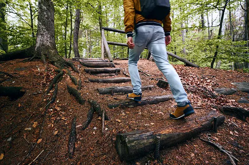 Spaziergang im Wald ist gesund