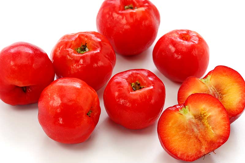 Vitamin C Acerola