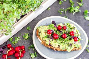 Microgreen-Guacamole