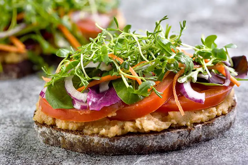 Microgreens auf dem Brot