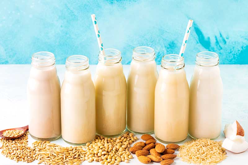 Alternativen pflanzliche Milch vegan