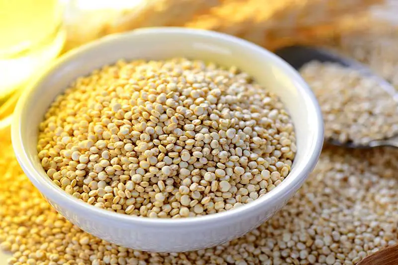 Quinoa Superfood