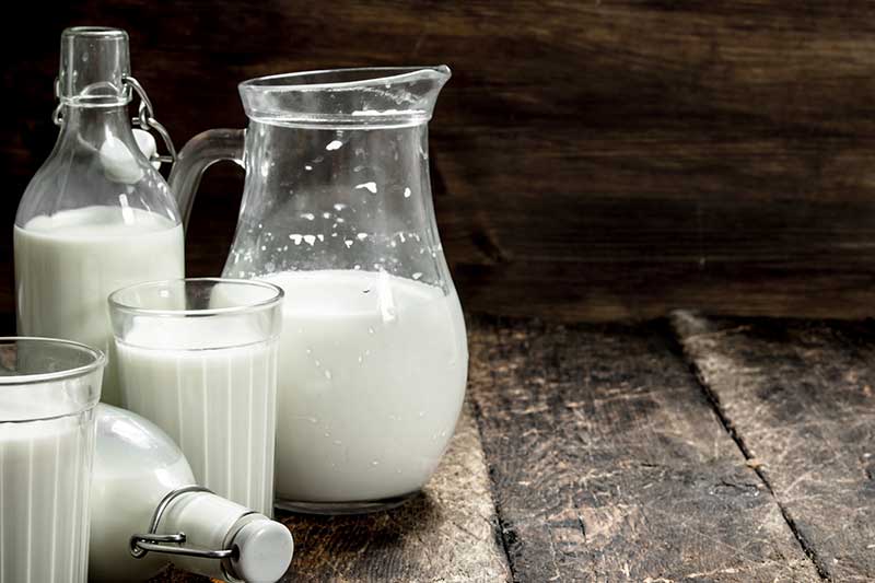 Startup züchtet Milch im Labor