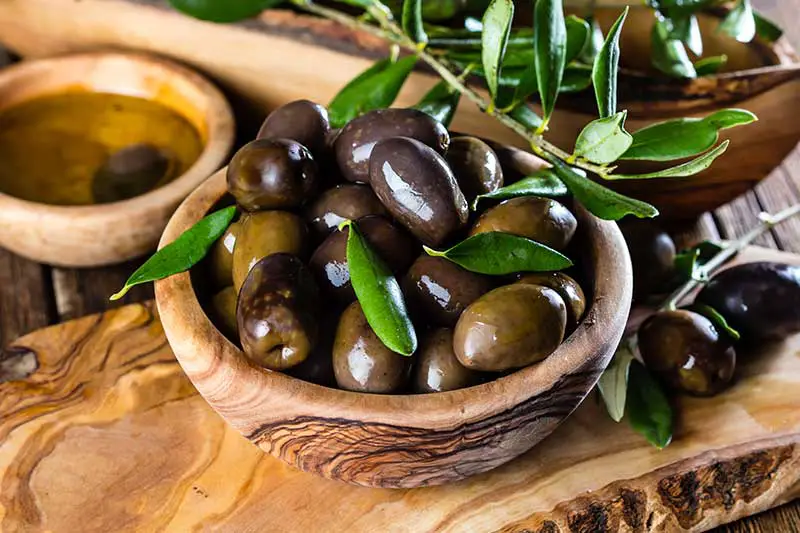 Olive - die gesunde Frucht aus dem Mittelmeerraum