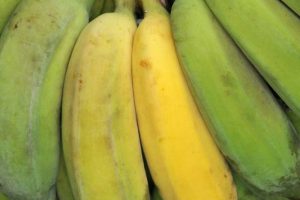 Banane und ihre 5 Reifegrade