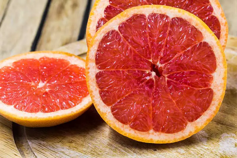 Grapefruit 