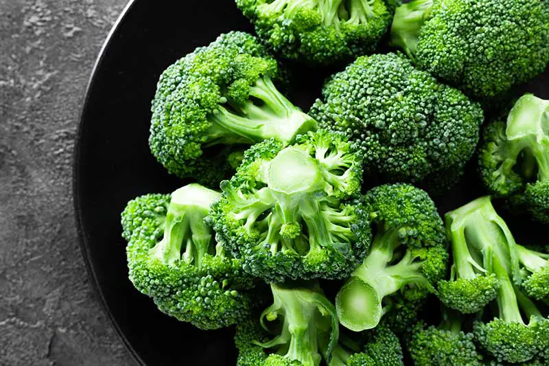 Brokkoli - kalorienarm und gesundheitsfördernd