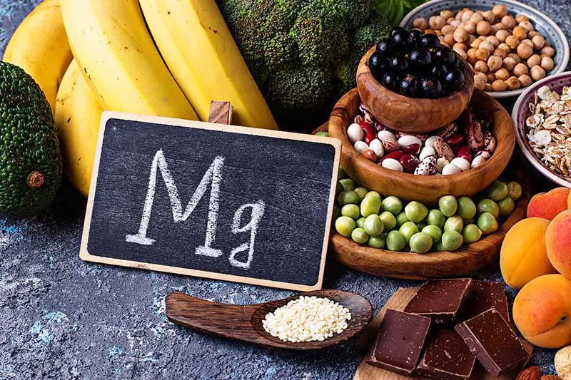 Magnesium Quellen vegan