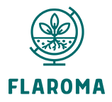 FLAROMA