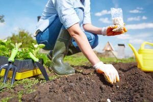 Nachhaltig gärtnern – ökologisch, ressourcenschonend und klimafreundlich
