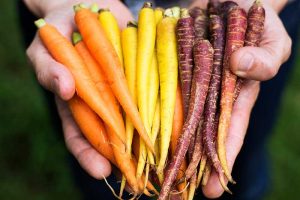 Karotte – darum ist das orangefarbene Gemüse gesund